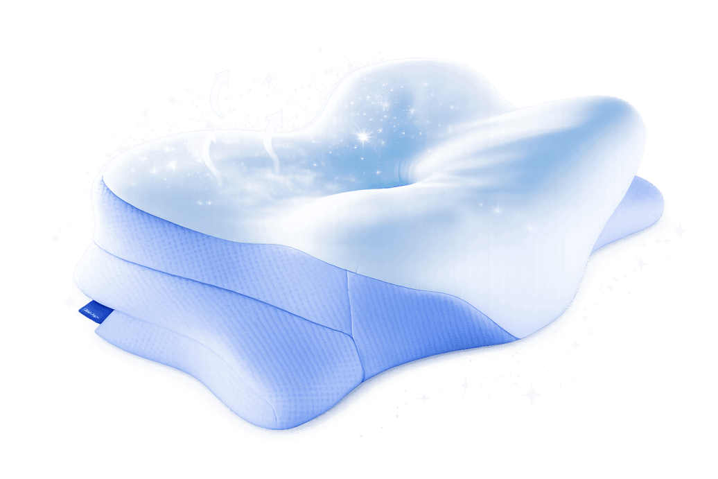 Derila Ergo Pillow Official website